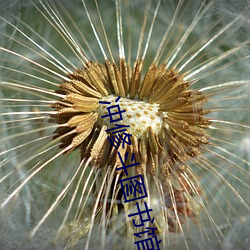 金年会 | 诚信至上金字招牌