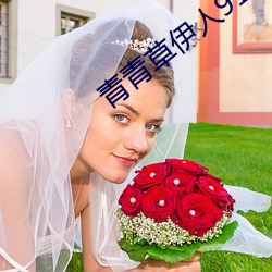 青青(青)草(草)伊人91在线视频高清免费版(版)下载(載)