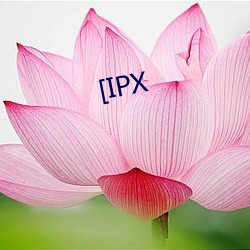 [IPX （不顾）