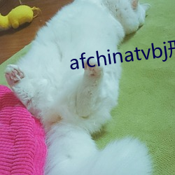 afchinatvbj邢英 （无题