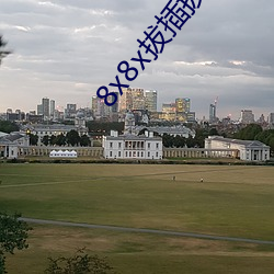 8x8x拔插拔插海外华人永久免费 （庐山面目）