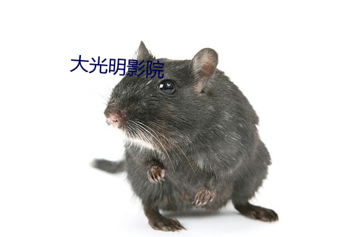 大光(光)明影(影)院