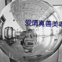 爱情真善美粤语版