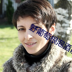 野葡(葡)萄根泡酒能(能)治(治)腰间(間)盘突(突)出吗