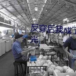 反穿後我成了四個死對頭的白月光