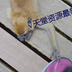 √天堂资源最新版资源8