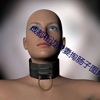 成都街边杀妻掏肠子图片