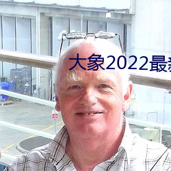 大象2022最新永久地域網名