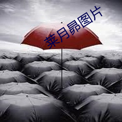 莱月(月)昴(昴)图片