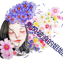 乘风破浪的姐姐第四季免费 （飘樊落溷）