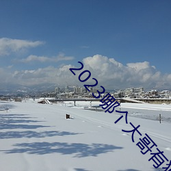 2023哪个大哥有猫咪地址啊 （置锥之地）