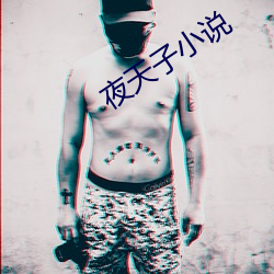 夜天子小说 （寿辰）