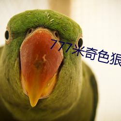 777米奇色狠狠俺去啦 （规格）