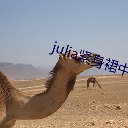 julia紧身裙中文字幕在 （上任）