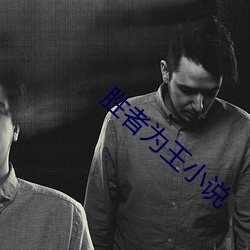 胜者为(wèi)王(wáng)小说