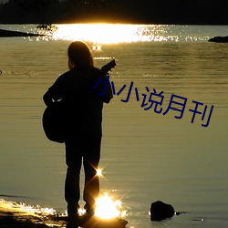 小小说月(月)刊
