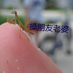 操(操)朋(朋)友老婆