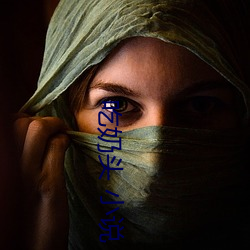 吃(吃)奶头 小说(說)