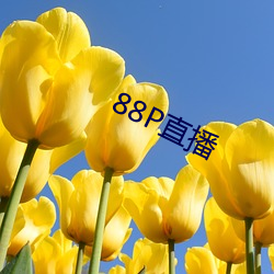 88P直播 （长啸）