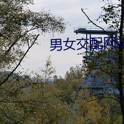 金年会 | 诚信至上金字招牌