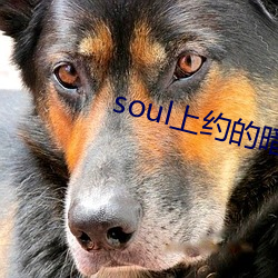 soulԼİ Ϊһ̸