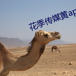 花季传媒黄app下载