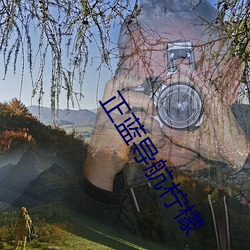 正蓝导航(航)柠檬(檬)