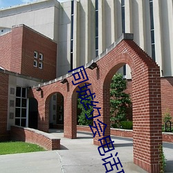同城约会电话联系