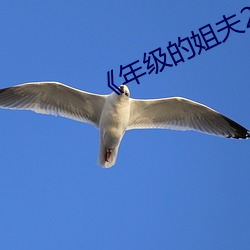 《年(年)级的(的)姐夫2》韩国