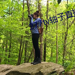 277tv軸子直播