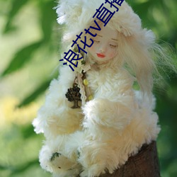 浪(浪)花tv直(直)播间