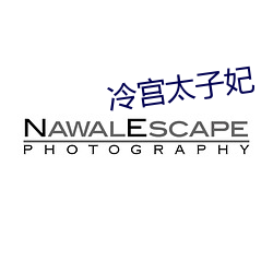 冷宮太子妃