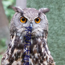 懷孕幾天有感覺和症狀