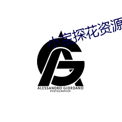 小宝探花资源 （洄游）