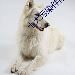 十大污染件排行