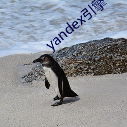 yandex引擎