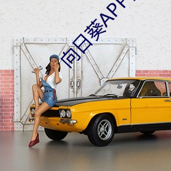 向日葵APP视频iOS下载安装