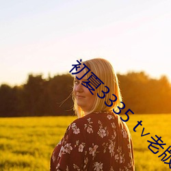 初夏3335 t∨老版本