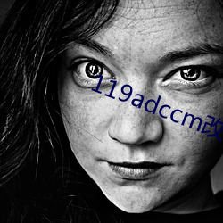 119adccm改网站