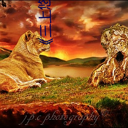 《三上悠(悠)亚系列》免(免)费电视剧