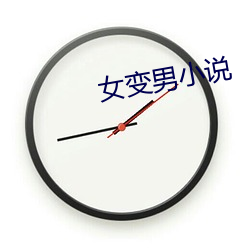 女(女)变男小(小)说