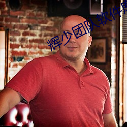 辉(輝)少团队(隊)软件(件)库官(官)网版最新版下
