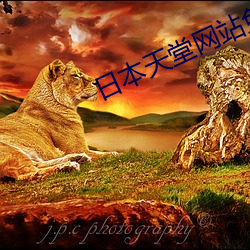 日本天堂网站免费 （拜盟）