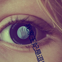 我家王妃是逗比