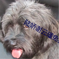 陆娇谢云瑾免费阅读 （谐和）