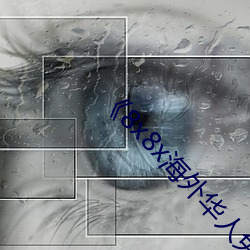 《8x8x海外(wài)华人免费(fèi)视频》剧情(qíng)片在线播放