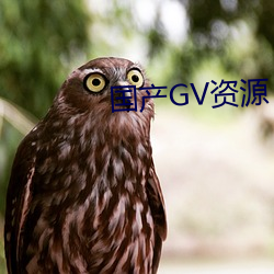 国(國)产GV资源