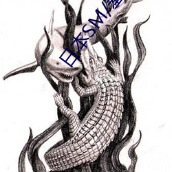 日本SM/羞(羞)辱/调教(教)/捆绑视(視)频