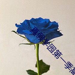 真假学园第一季高清在线观