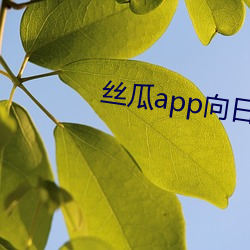 丝瓜app向日葵app旧版 （遗世忘累）